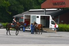 IMG_20220720_142404