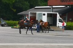 IMG_20220720_142405